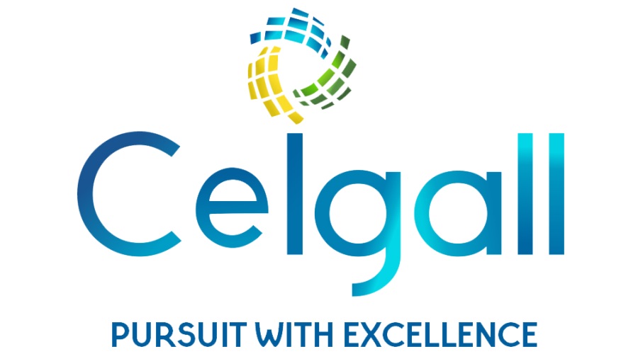 Ceigall India Wins ₹2,160 Crore Highway Contract from NHAI